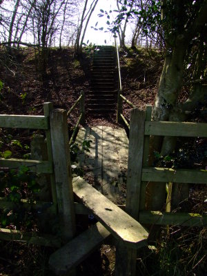 The  stile, footbridge  and  the  21  steps.