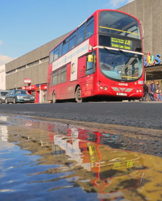 Route  221  London  Red  Bus