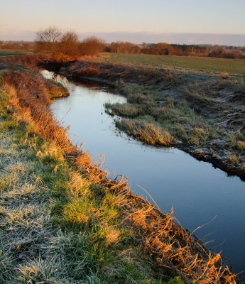 Looking  downstream.