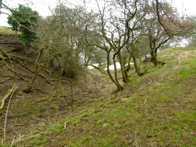 The ringwork ditch