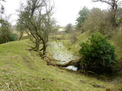 William's  Hill  ring  and  bailey  ditch