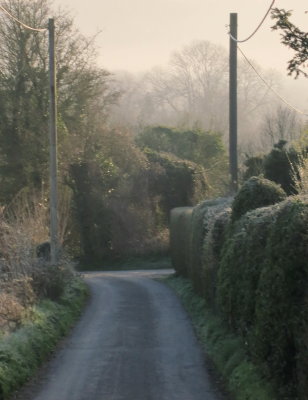 Misty  morning.