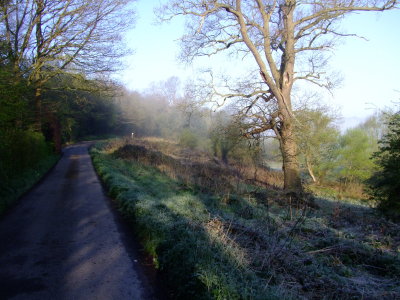 The  private  road  to  Petre's  Field.