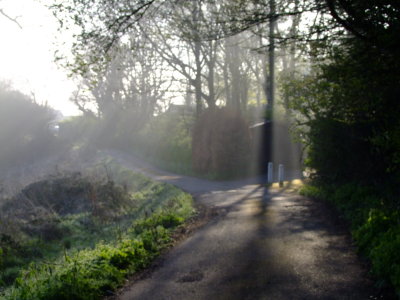 Looking  back  from  Petre's  Field.