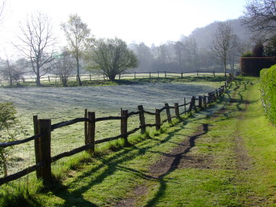 A  frosty  field  and  a  rickety  fence