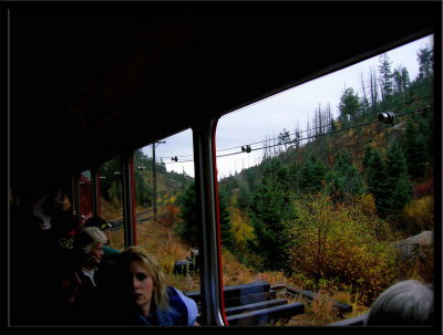 Cog Train View