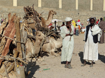Camel and salesmen