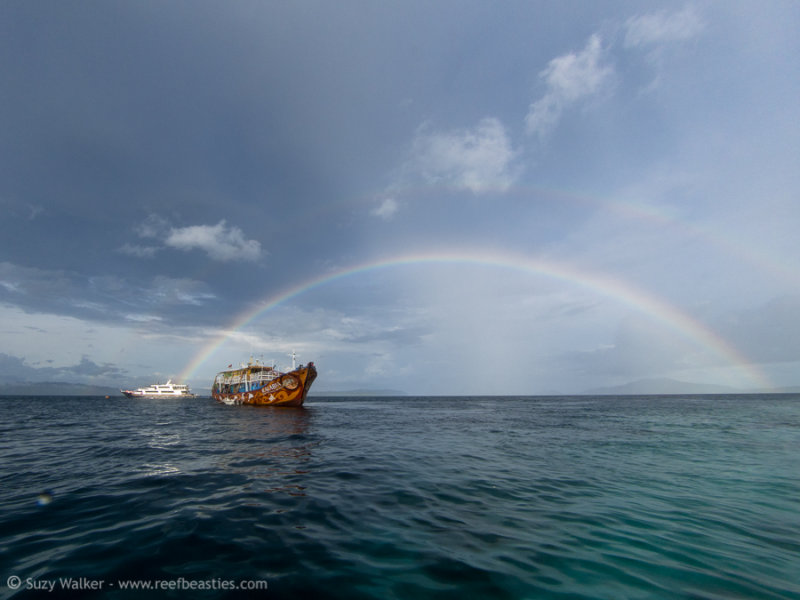 Double Rainbow