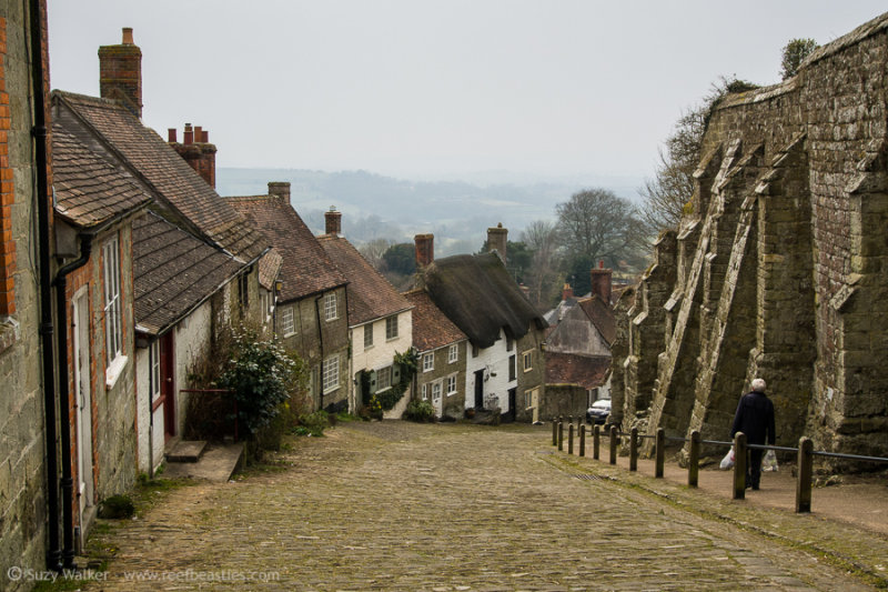 Gold Hill Shaftesbury