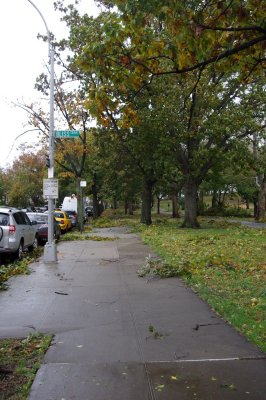 and more sidewalk litter