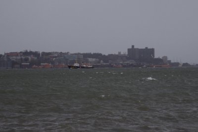 Sandy Hook Pilot boats