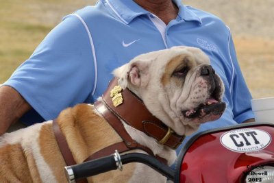 Citadel Football