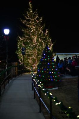 Fountain Inn Christmas Tree Lighting 2012