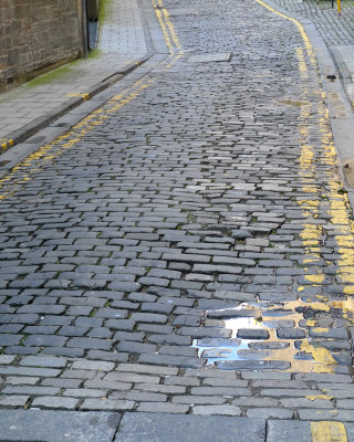 Scot2012_030.jpg