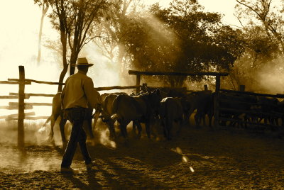 yards 030.JPG