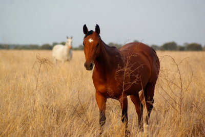 Ulcanbah Nov2011 083.JPG