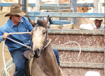 Campdraft
