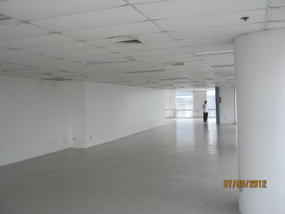 328.33 Sq.m. in Gil Puyat for Sale