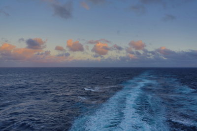 057-802A0299.JPG