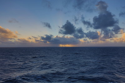 058-802A0311.JPG