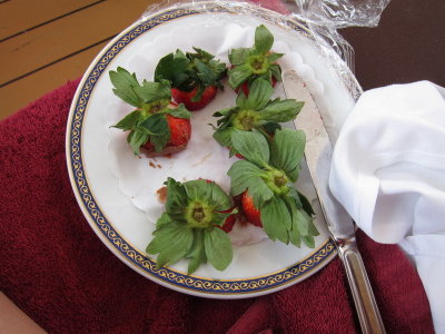 160-IMG_0721.JPG