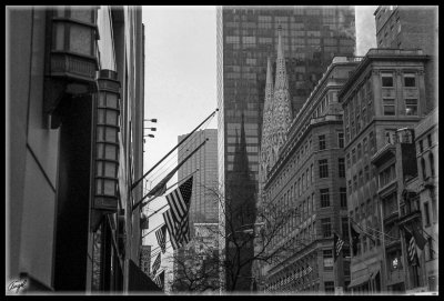 New York -0255 -w-f.jpg