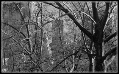 New York -0586 -w-f.jpg