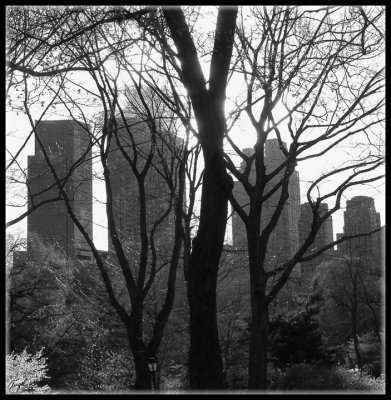 New York -0589 -w-f.jpg