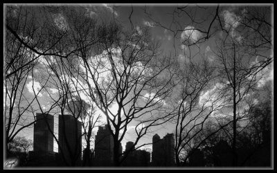 New York -0591 b-w-f.jpg