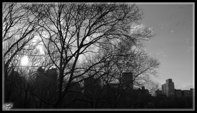 New York -0604 -Editar-w-f.jpg
