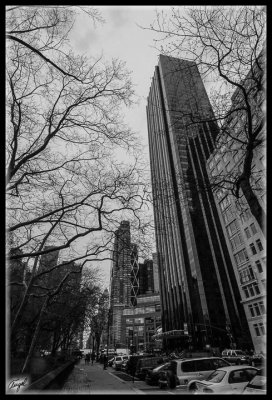 New York -0942 -w-f.jpg