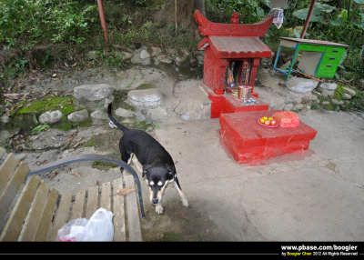 g2/66/374766/3/147888833.obQ7Ex5n.jpg