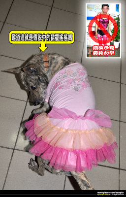 i[]ݢGӳoNOu\nnvڡHj