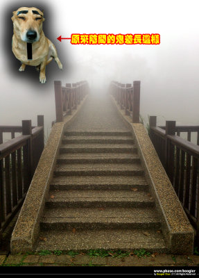 iLoIj