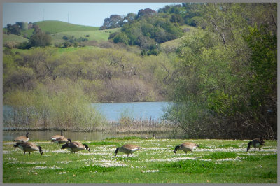 Novato,CA