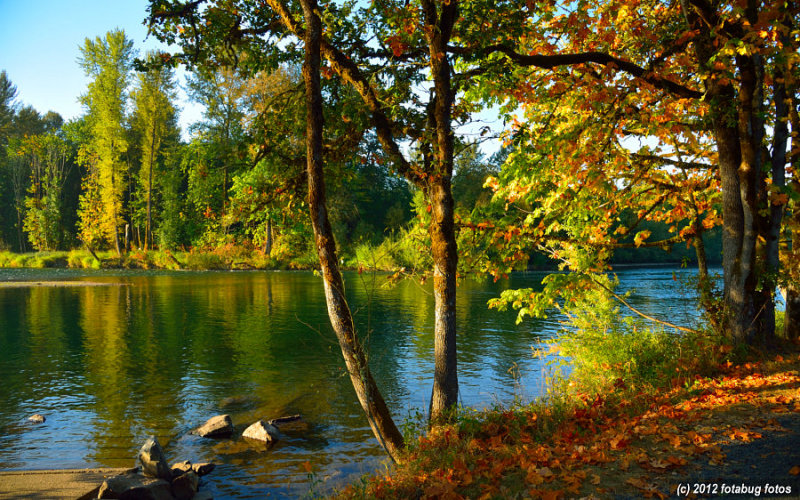 Along The McKenzie River
