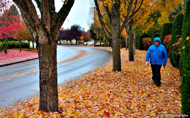Walking on a Wet Fall Day