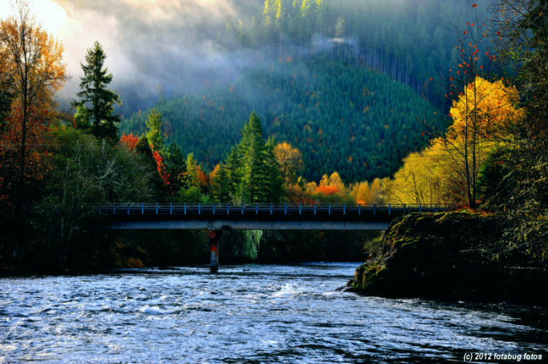 Bridge Over The McKenzie River