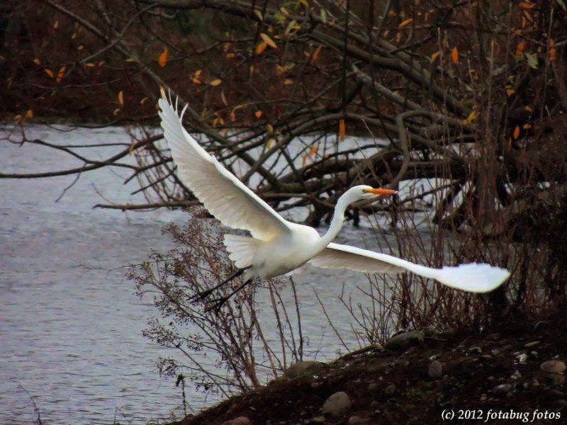 Poetry in Motion!