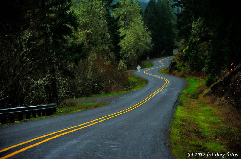 My Favorite Stretch of Road!