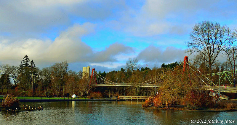 Defasio Footbridge From Alton Baker Park