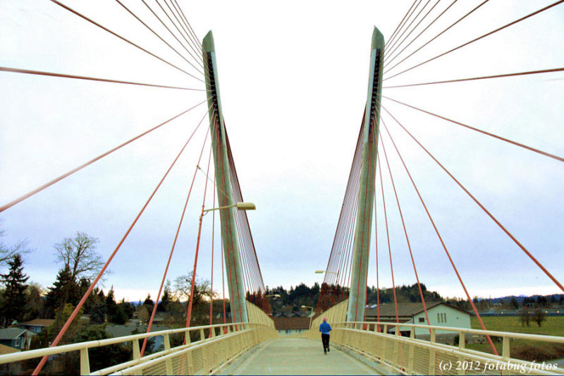 Delta Ponds Footbridge