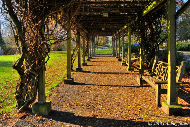 Trellis At Millrace Park