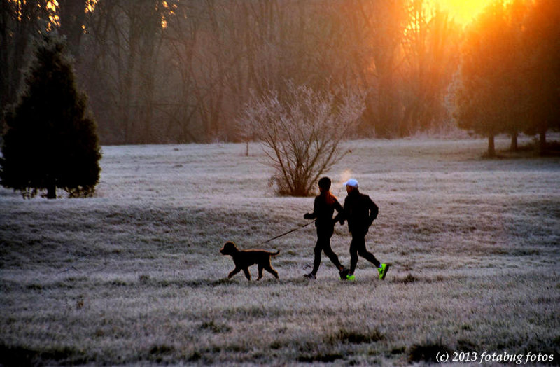 Jogging on a Frosty Morning