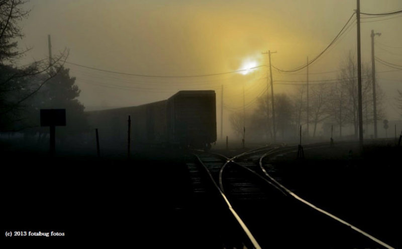Foggy Morning Along the Tracks