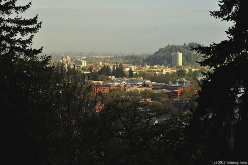 D3-041813-027.JPG