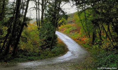 color In The Coburg Hills