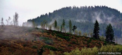 High in the Coburg Hills