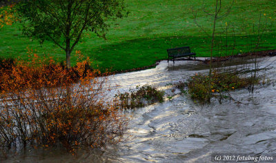 The Water Is Getting A Bit High!