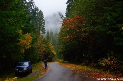 Hike To Parker Falls